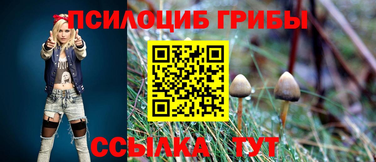 Алушта  наркота  Вход с VPN  Галлюциногенные грибы GOLDEN TEACHER  Псилоцибиновые грибы ЛСД 